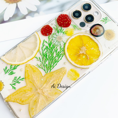 metoteページ★押しフルーツケース metoteページ☆押しフルーツケース ﾒﾙﾌﾙｰﾙ＊ハンドメイド押し花