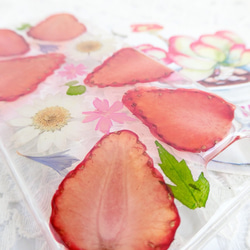 ♪ イチゴ ♡ 押し花 押しフルーツ 押し花ケース 新鮮な果物  iphoneケース スマホケース プレゼント ギフト 2枚目の画像