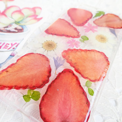 ♪ イチゴ ♡ 押し花 押しフルーツ 押し花ケース 新鮮な果物  iphoneケース スマホケース プレゼント ギフト 4枚目の画像