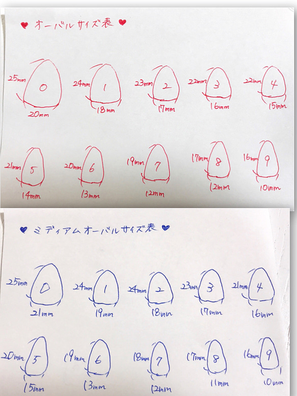  第3張的照片