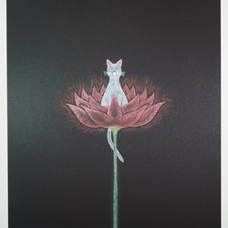 ヒーリングアートプリント「花にくらす猫　心は静かに」[A5] 1枚目の画像