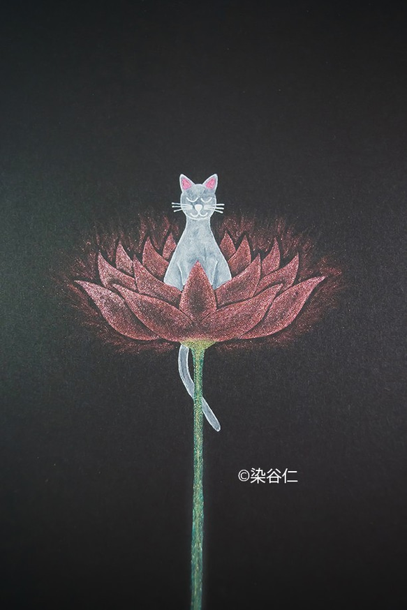 ヒーリングアートプリント「花にくらす猫　心は静かに」[A5] 2枚目の画像