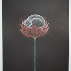 ヒーリングアートプリント「花にくらす猫　十分満ちたりている」[A5] 1枚目の画像