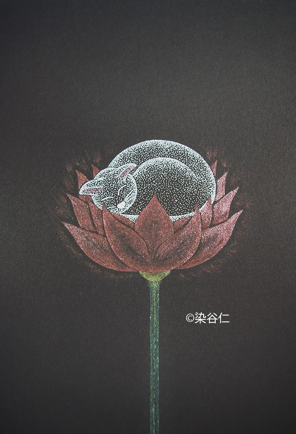 ヒーリングアートプリント「花にくらす猫　十分満ちたりている」[A5] 2枚目の画像