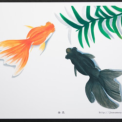 絵ポストカードNo.44「金魚」【選べる3枚】 1枚目の画像