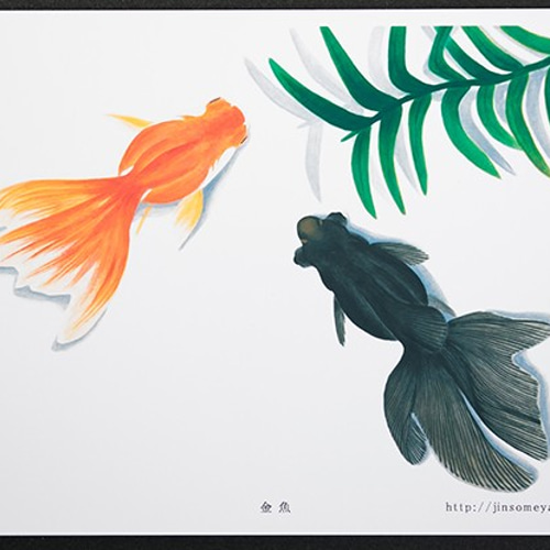 カナヤ イラストオーダー【通常】 ポストカード Amazon.co.jp: 四十七大戦 特典 イラストカード ポストカード