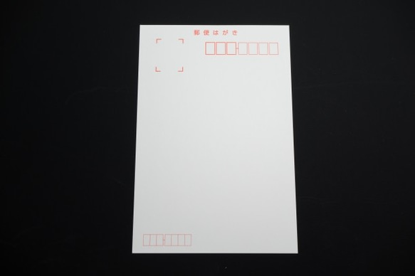 白い猫のポストカードセット 4枚目の画像