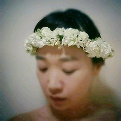 price down❗❗❗
fresh white flower crown 1枚目の画像