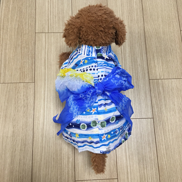 犬服可愛い浴衣Mサイズ(男の子) 2枚目の画像