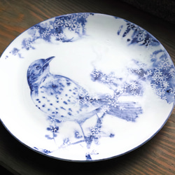【一点物】「ヒヨドリ」動物の手描き染付皿 大皿 絵皿 2枚目の画像