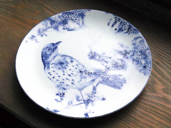 【一点物】「ヒヨドリ」動物の手描き染付皿 大皿 絵皿 2枚目の画像