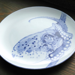 【一点物】「ミズダコ」動物の手描き染付皿 大皿 絵皿 2枚目の画像