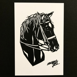 横顔が美しい馬　ポストカード3枚セット（原画） 4枚目の画像