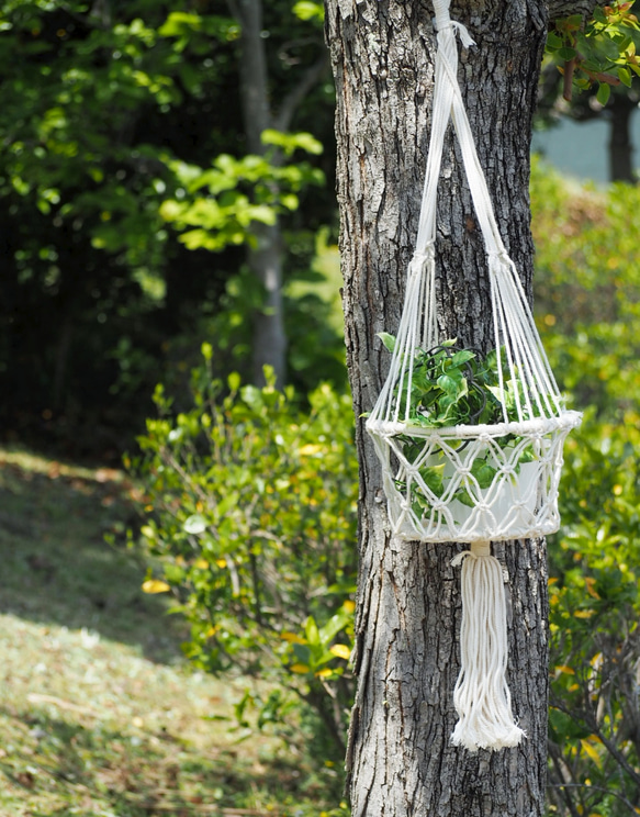 Boho Macrame マクラメプラントハンガー 3枚目の画像