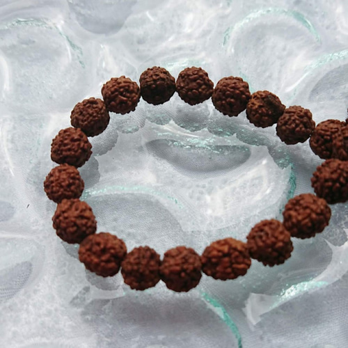 粒売り 希少な極小ルドラクシャ5面 7mm 菩提樹の実 粒売り15個入り