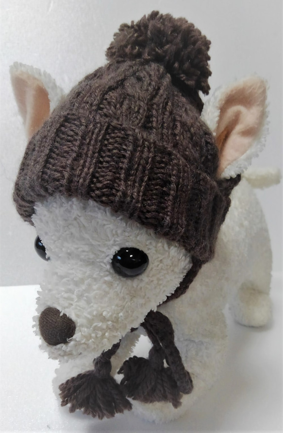 茶色の縄編みのワンちゃんの帽子(CAP-1W) 1枚目の画像