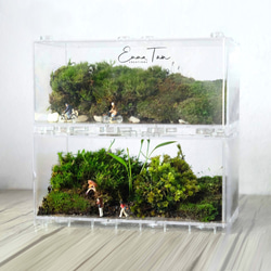 【生態冰塊 terraICE】如何悄悄表白心聲…原創生態瓶【甜蜜距離】Terrarium微景觀苔蘚植物盆栽綠色自然風禮物 第2張的照片