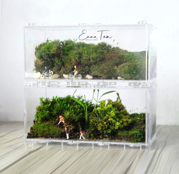 【生態冰塊 terraICE】如何悄悄表白心聲…原創生態瓶【甜蜜距離】Terrarium微景觀苔蘚植物盆栽綠色自然風禮物 第2張的照片
