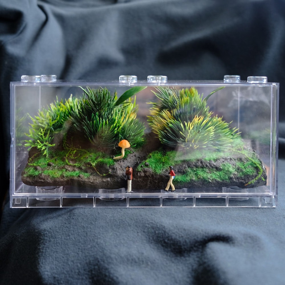 【生態冰塊 terraICE】如何悄悄表白心聲…原創生態瓶【甜蜜距離】Terrarium微景觀苔蘚植物盆栽綠色自然風禮物 第3張的照片