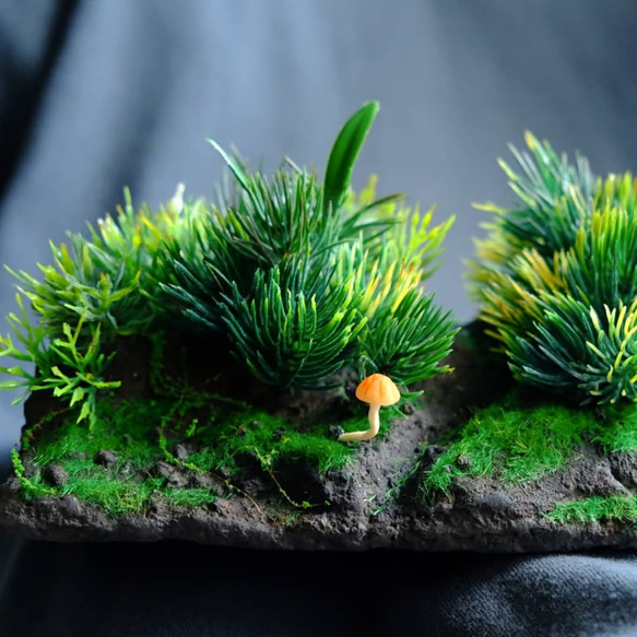 【生態冰塊 terraICE】如何悄悄表白心聲…原創生態瓶【甜蜜距離】Terrarium微景觀苔蘚植物盆栽綠色自然風禮物 第6張的照片