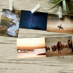 [プレーリーウィスパー]ハートカード5ポストカード装飾ステーショナリー馬の羊飼い銀河宇宙スターギャラクシーホースポストカード 2枚目の画像