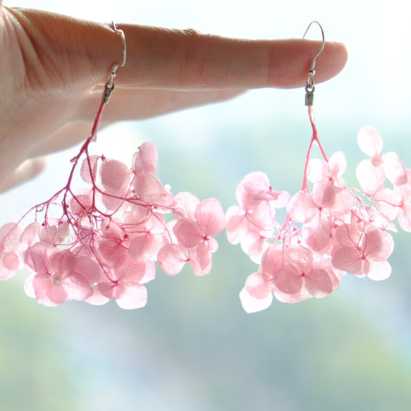 【小糠雨】Shining Droplets Hydrangea Earrings by ETPLANT 繡球花真花淺紫色 第2張的照片