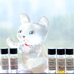 Natural Essential Oils for Cute Aroma Sculptures 香薰天然精油驅蚊除蟲 第1張的照片