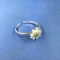 夏セール 白いデイジーの指輪 シンプルなリング  可愛い花 春 銀 sv  RURURV 【F3-1】 3枚目の画像