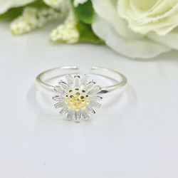 夏セール 白いデイジーの指輪 シンプルなリング  可愛い花 春 銀 sv  RURURV 【F3-1】 4枚目の画像