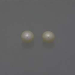淡水パール 片穴ルース ボタン型ポテト メタリックホワイト 6.5-7mm AA級品 商品番号5106MAA 2枚目の画像