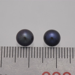 淡水パール　片穴ルース　ボタン型ポテト　ブルーブラック　6-7mm AA級品　商品番号5406AA 2枚目の画像