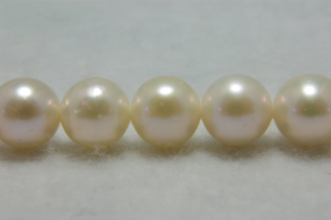 淡水パール　ラウンド(丸型）　ホワイト　8-9mm　A級品　商品番号1108A
