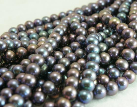 淡水パール　ラウンド(丸型） ブルーブラック 7-8mm AB級品  商品番号1407AB 2枚目の画像