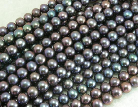 淡水パール　ラウンド(丸型） ブルーブラック 7-8mm AB級品  商品番号1407AB 3枚目の画像