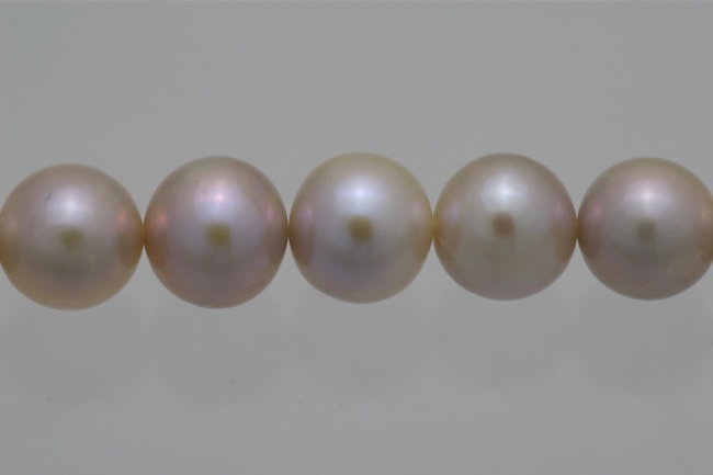 淡水パール　ラウンド(丸型） パープルピンク 9mm前後 A級品  商品番号1309A