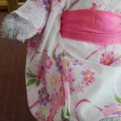 ステラルー用　浴衣セット（桜） 2枚目の画像