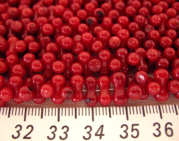珊瑚(染色) 連販売 ピーナッツ型 約9×4mm 真紅 3000143 2枚目の画像