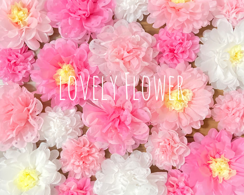 ひなひまページ　スターフラワーピンク ピンクアナベル 