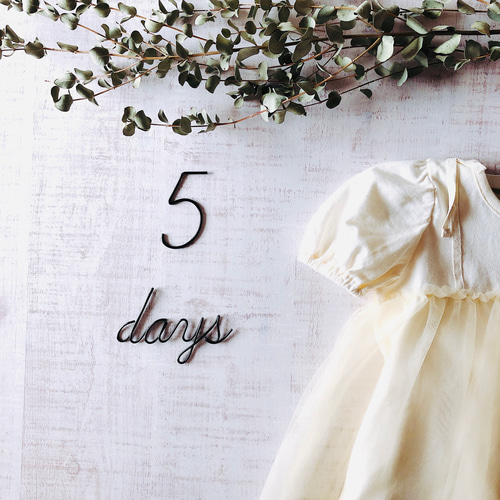 数字レターバナー 15点セット(虫ピン付属) ワイヤーレタリング 出産