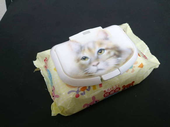 オリジナルウェットティッシュの蓋 猫ちゃん 2枚目の画像