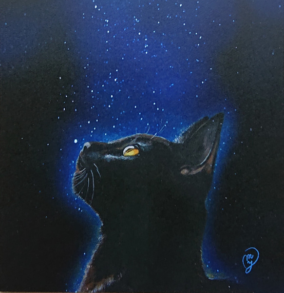 月を見上げる黒猫  【猫のイラスト】 3枚目の画像