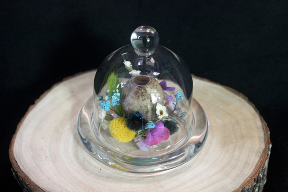 [Blooming ! 生活~貝爾果X花盅] 乾燥花 玻璃罩盅  客製 花禮 禮物 擺飾 佈置 第3張的照片