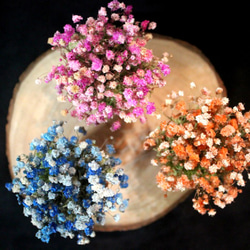[Blooming ! 生活~滿天星X小盆花] 3色一組 乾燥花  客製 花禮 禮物 擺飾 佈置 療癒小物 第2張的照片