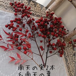 【おひとり様一点限り】南天の実と南天の葉　ドライフラワー　クリスマス正月花材　インテリア 1枚目の画像
