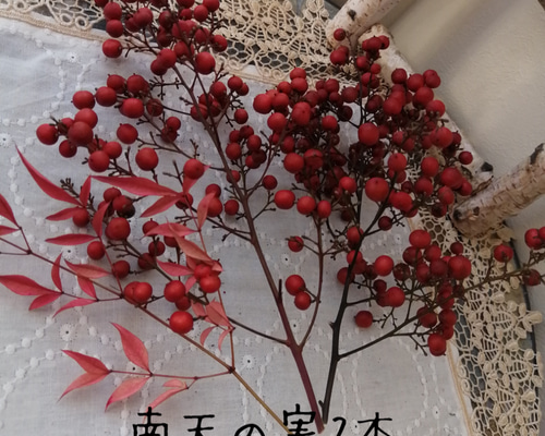 1_3439ccc928c95dc86296a048ce57