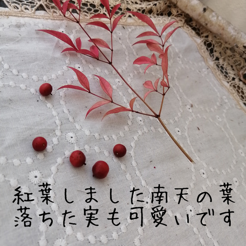 大好評の南天の枝付きの実 5本と葉っぱ