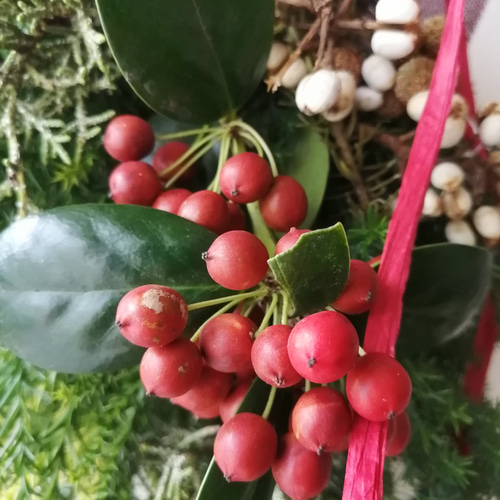 クリスマスホーリーの赤い実が可愛い♡クリスマスのドライフラワー