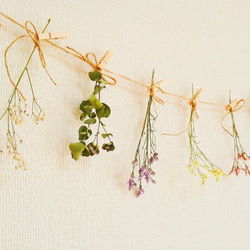 カラフル小花のドライフラワーガーランド♡ 3枚目の画像