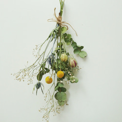 ネイティブフラワー＊スモークツリーと＊ミモザ＊ドライフラワー