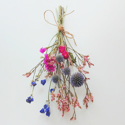 ドライフラワー グレビレア アイバンホー 2本セット ドライフラワー